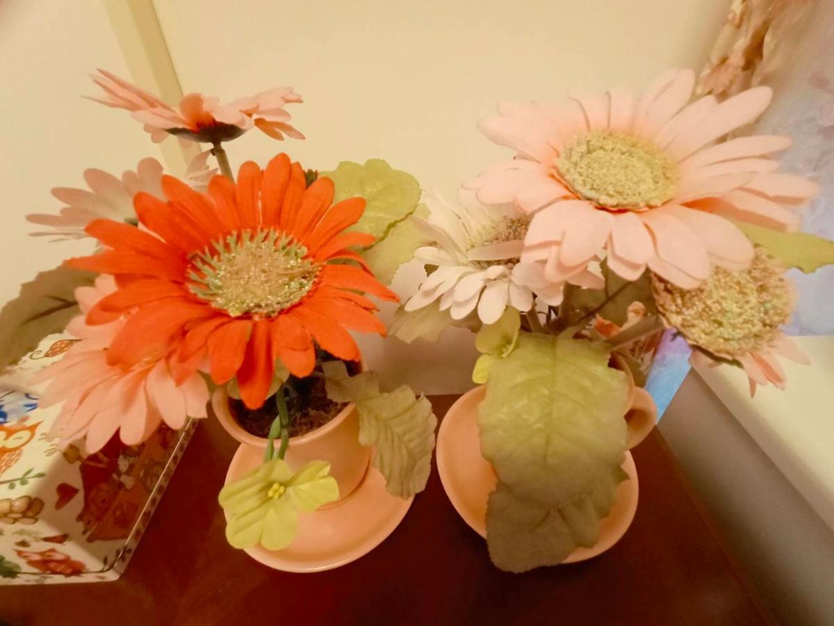 七之一二館-市區包棟民宿附車位 花莲市 外观 照片